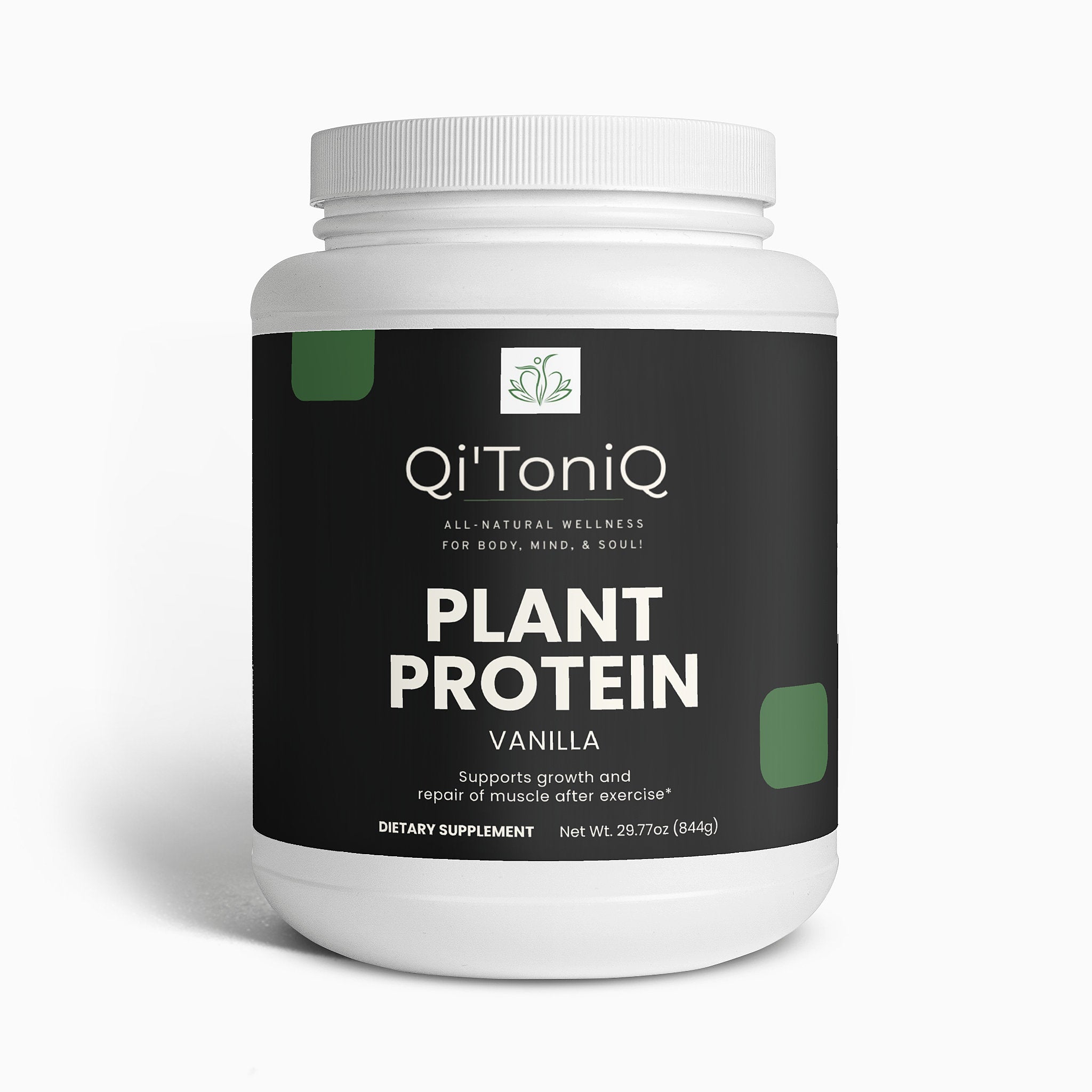 Plant Protein (Vanilla)