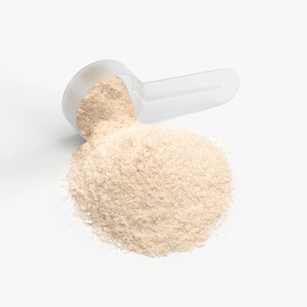 Hydration Powder – Lemonade | Qi’ToniQ