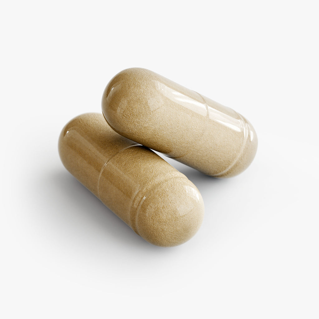 Moringa Pure | Qi’ToniQ