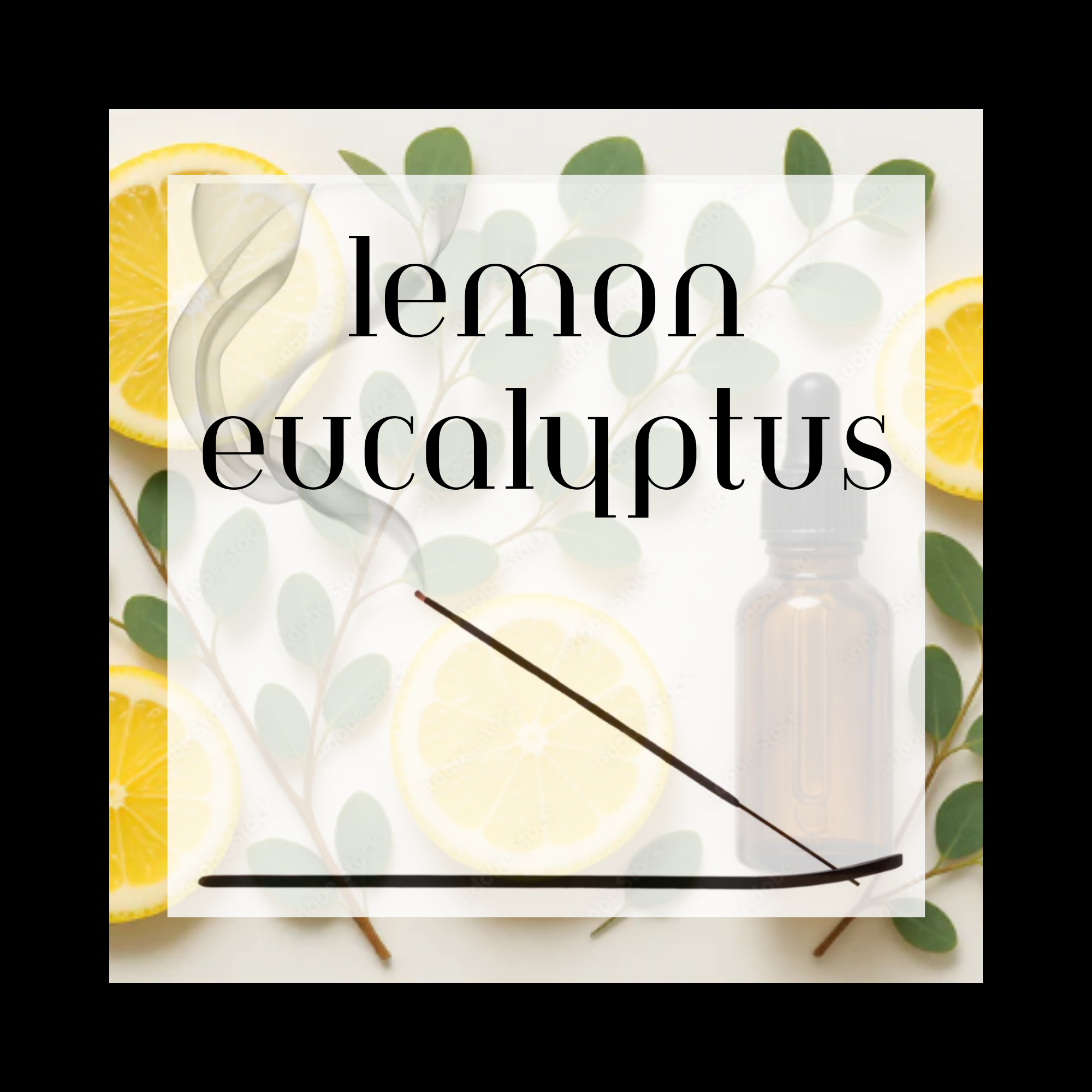 Lemon Eucalyptus 11" Charcoal Incense Sticks - 12 Count, Pure Essential Oils, Clean 45-60 Minute Burn Time, Fresh Scent for Relaxation & Aromatherapy