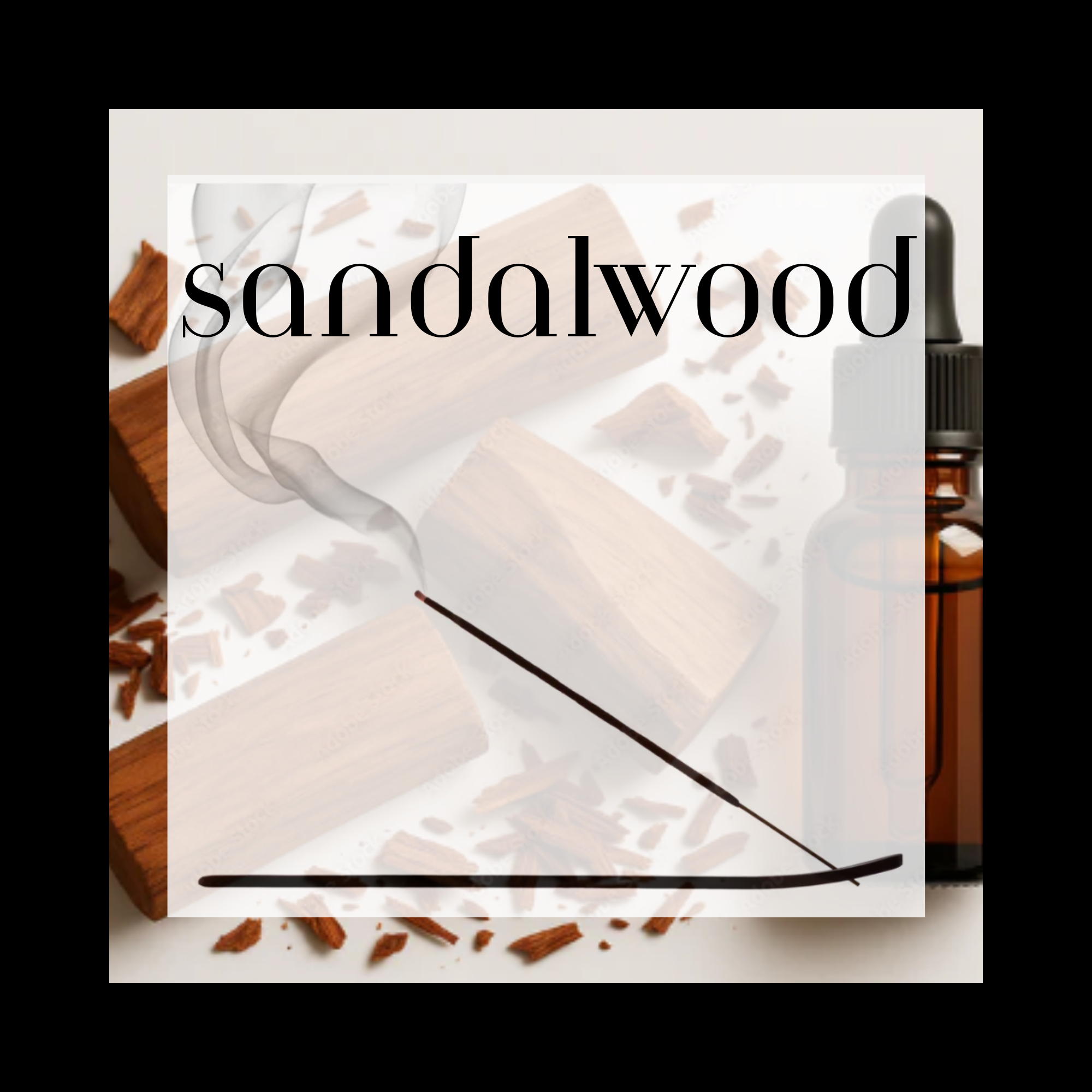 Sandalwood 11' Charcoal Incense Sticks - 12 Count, Pure Essential Oils & Charcoal, 45-60 Minute Burn Time, Clean Scent