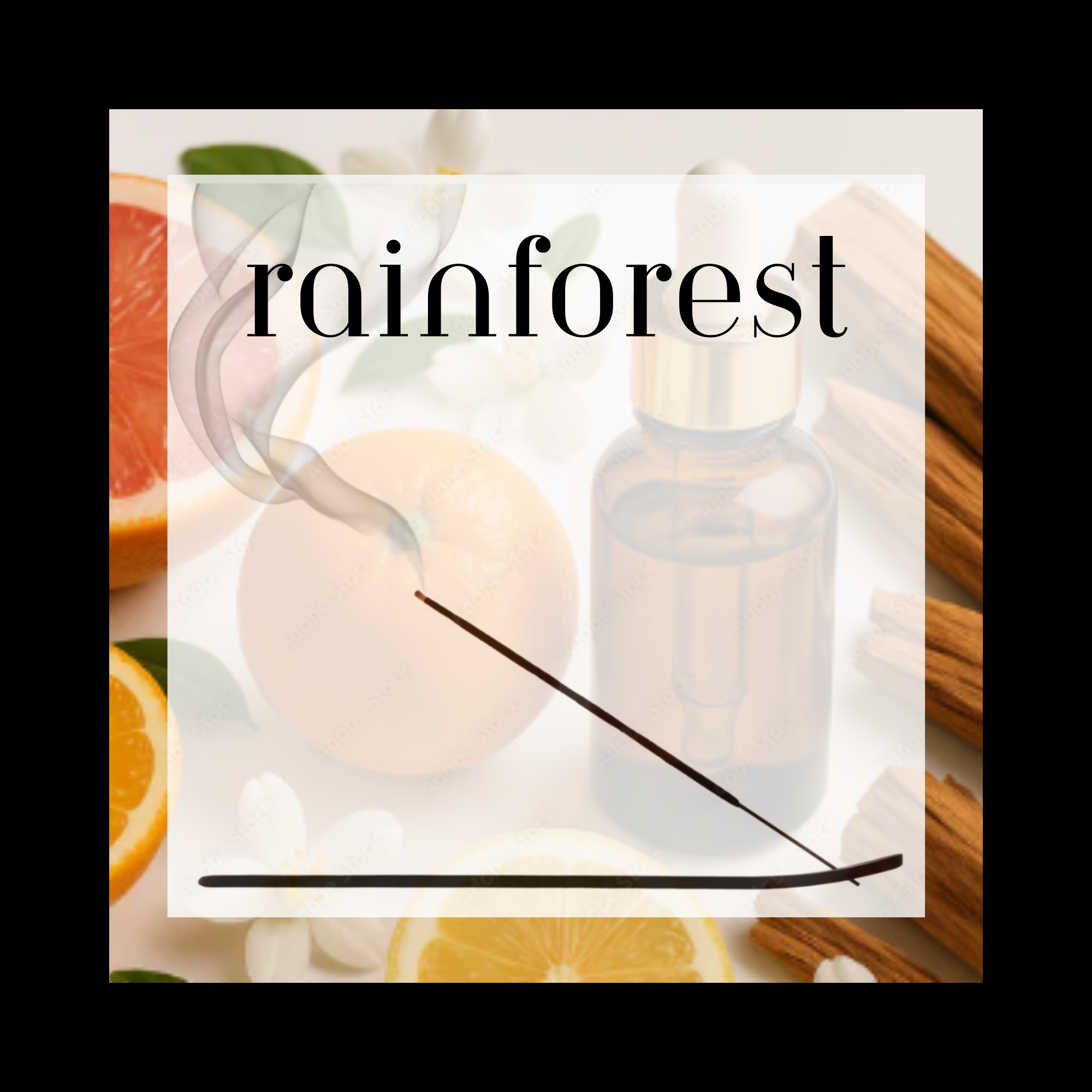 Rainforest 11" Charcoal Incense Sticks - 12 Count, Pure Essential Oils & Charcoal, Clean 45-60 Minute Burn Time