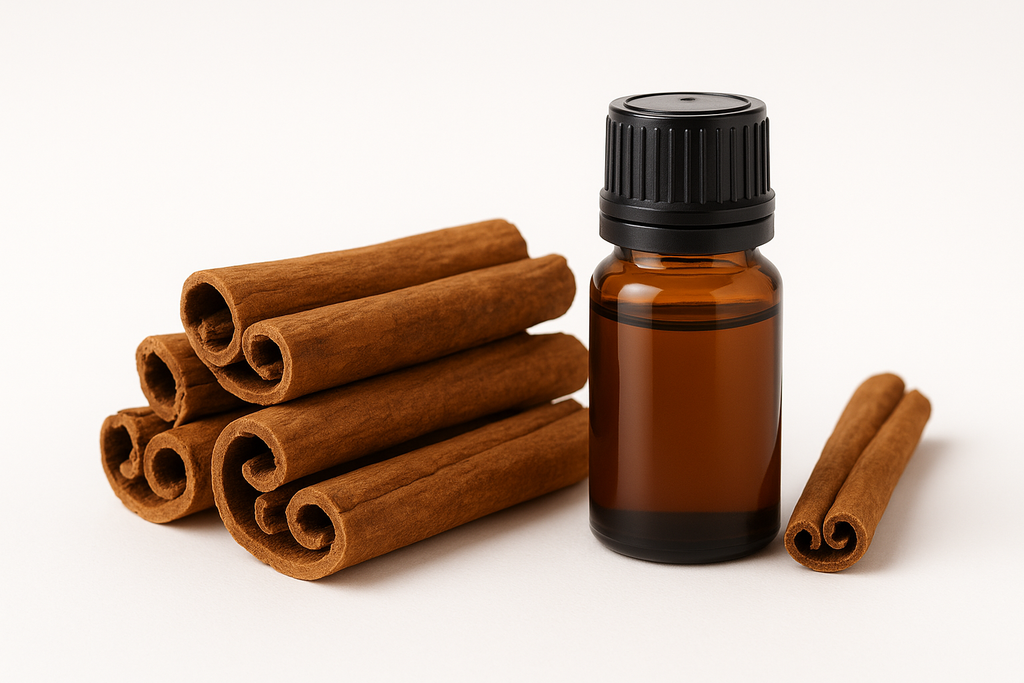 CINNAMON BARK WITH A BROWN ESSENTIAL OIL BOTTLE AND A WHITE BACKGROUND
